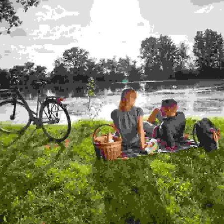 Ferienwohnung Rheinzabern - 4 Sterne Екстер'єр фото