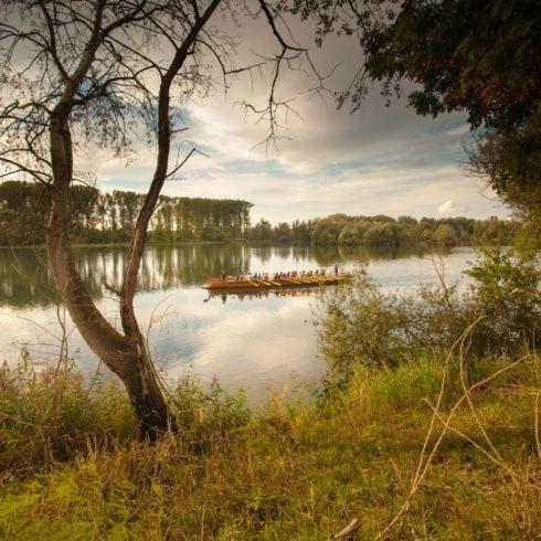 Ferienwohnung Rheinzabern - 4 Sterne Екстер'єр фото